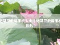 诺基亚触屏手机大全（诺基亚触屏手机图片）