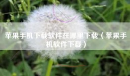 苹果手机下载软件在哪里下载（苹果手机软件下载）