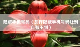 隐藏手机号码（怎样隐藏手机号码让对方看不到）