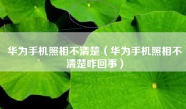 华为手机照相不清楚（华为手机照相不清楚咋回事）