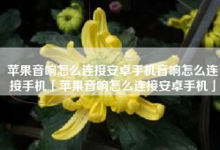 苹果音响怎么连接安卓手机音响怎么连接手机「苹果音响怎么连接安卓手机」