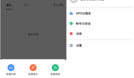 WPS Pro专业版手机wps「WPS Pro专业版」