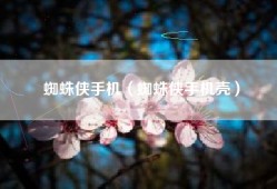 蜘蛛侠手机（蜘蛛侠手机壳）