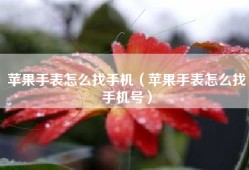 苹果手表怎么找手机（苹果手表怎么找手机号）