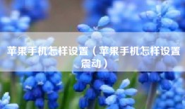 苹果手机怎样设置（苹果手机怎样设置震动）