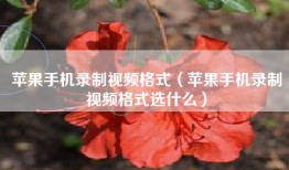 苹果手机录制视频格式（苹果手机录制视频格式选什么）