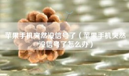 苹果手机突然没信号了（苹果手机突然没信号了怎么办）