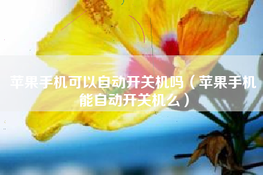 苹果手机可以自动开关机吗（苹果手机能自动开关机么）