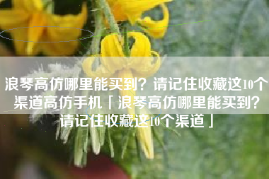 浪琴高仿哪里能买到？请记住收藏这10个渠道高仿手机「浪琴高仿哪里能买到？请记住收藏这10个渠道」